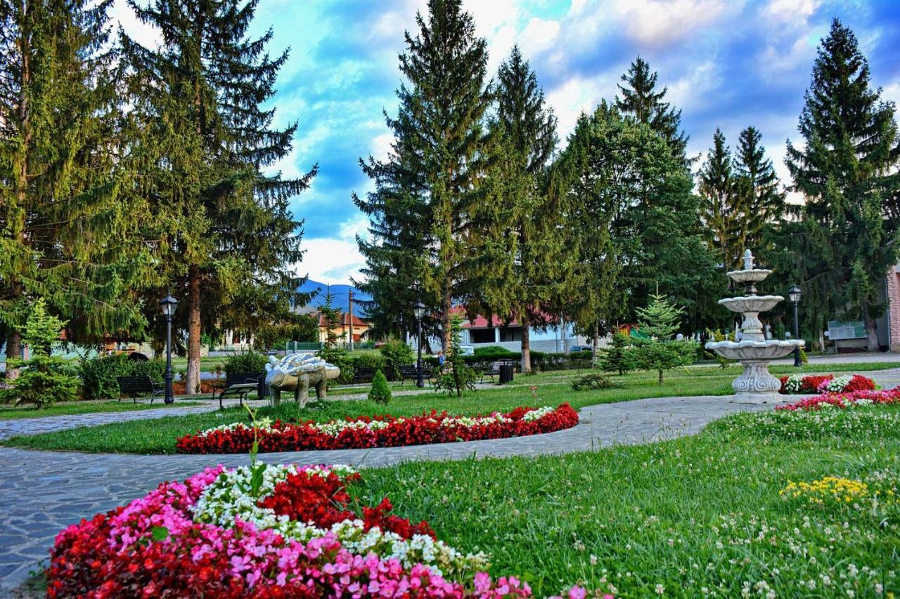 Pensiunea Salas Salasu de Sus Exteriér fotografie