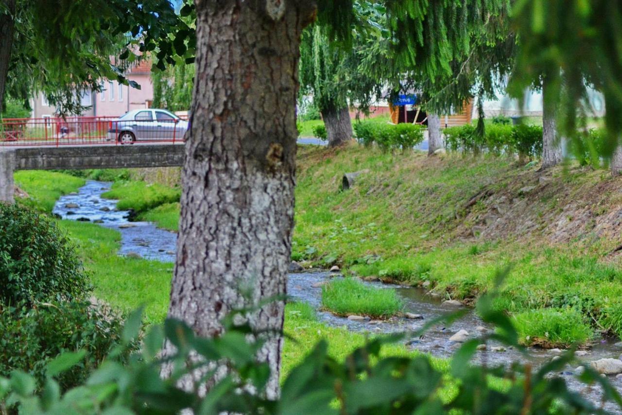 Pensiunea Salas Salasu de Sus Exteriér fotografie