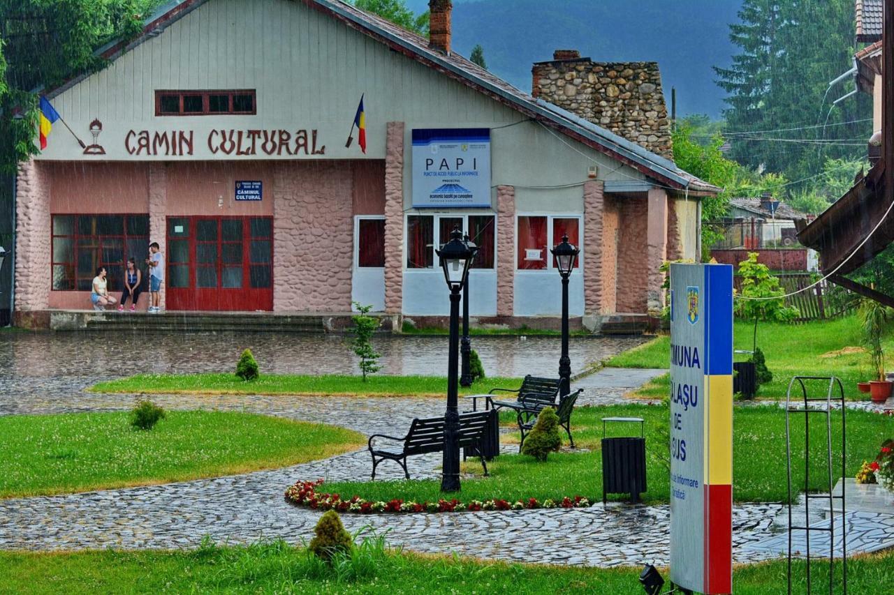 Pensiunea Salas Salasu de Sus Exteriér fotografie