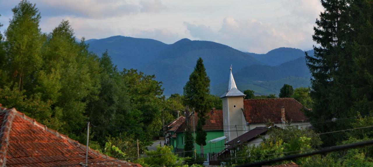 Pensiunea Salas Salasu de Sus Exteriér fotografie