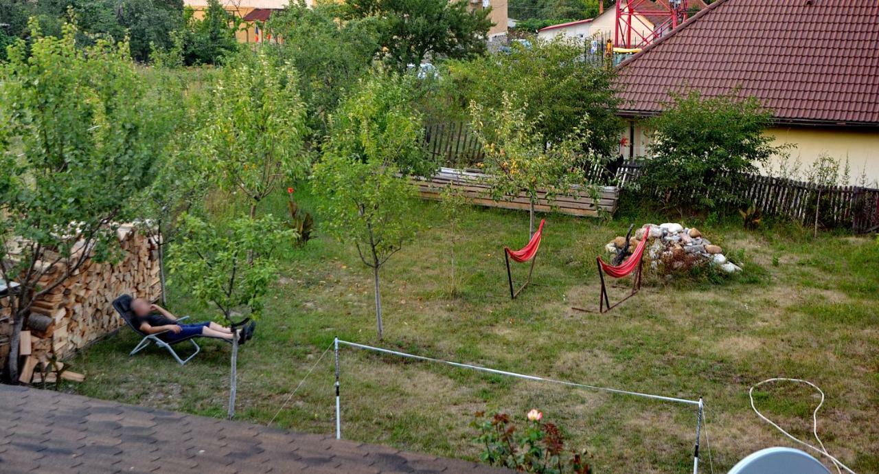 Pensiunea Salas Salasu de Sus Exteriér fotografie