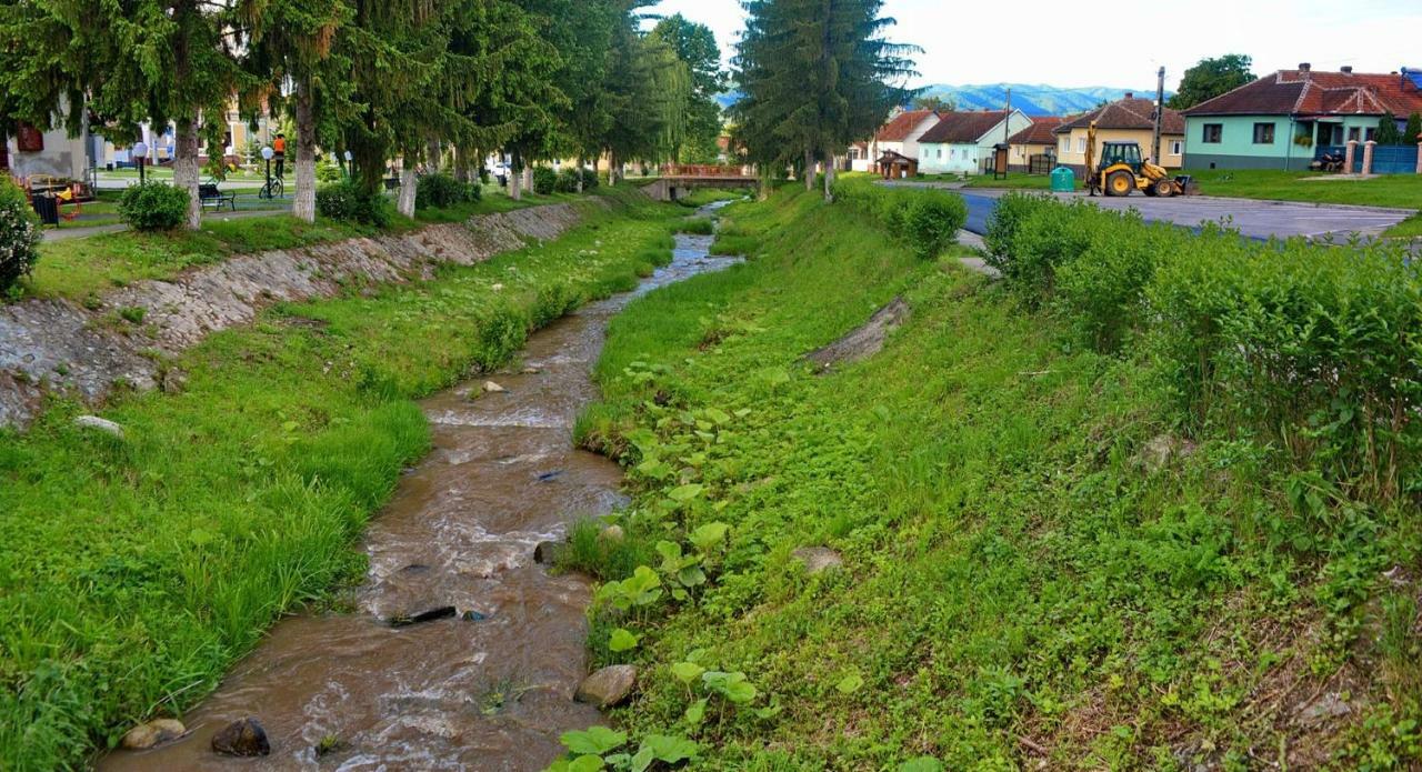 Pensiunea Salas Salasu de Sus Exteriér fotografie