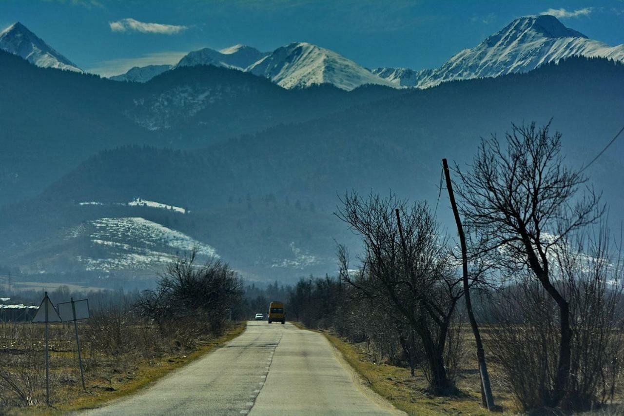 Pensiunea Salas Salasu de Sus Exteriér fotografie